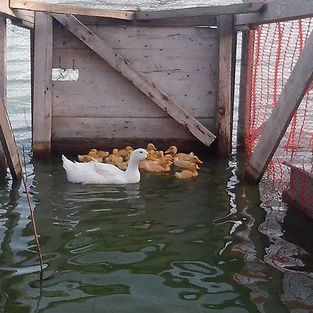Lll Case de vacanță *
